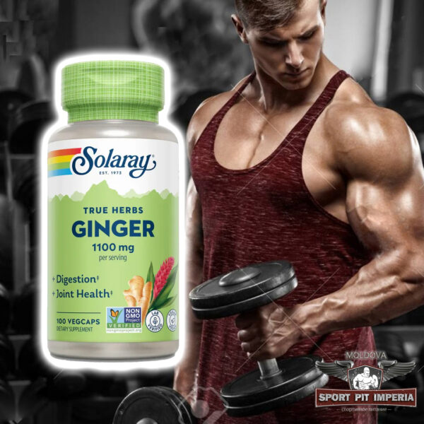 Solaray Ginger 1100mg - 100 Caps